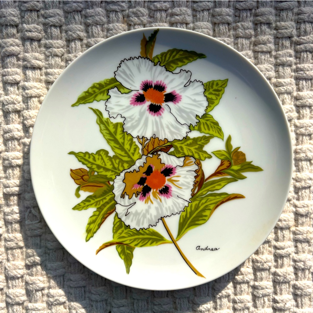 Two Vintage Salad Plates Andrea By Sadek Floral Botanical 7 1/2"
